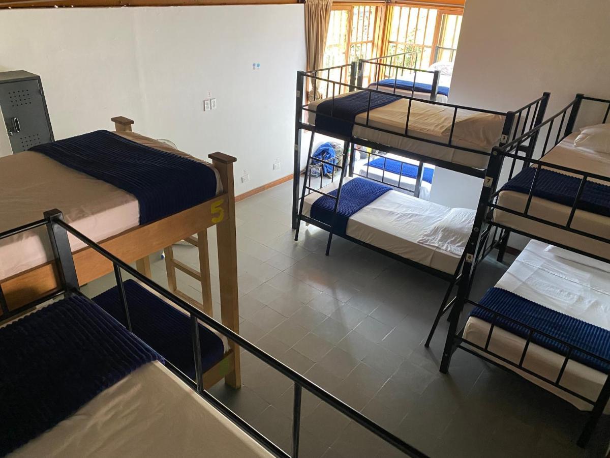 Yolo Hostel Medellín Extérieur photo