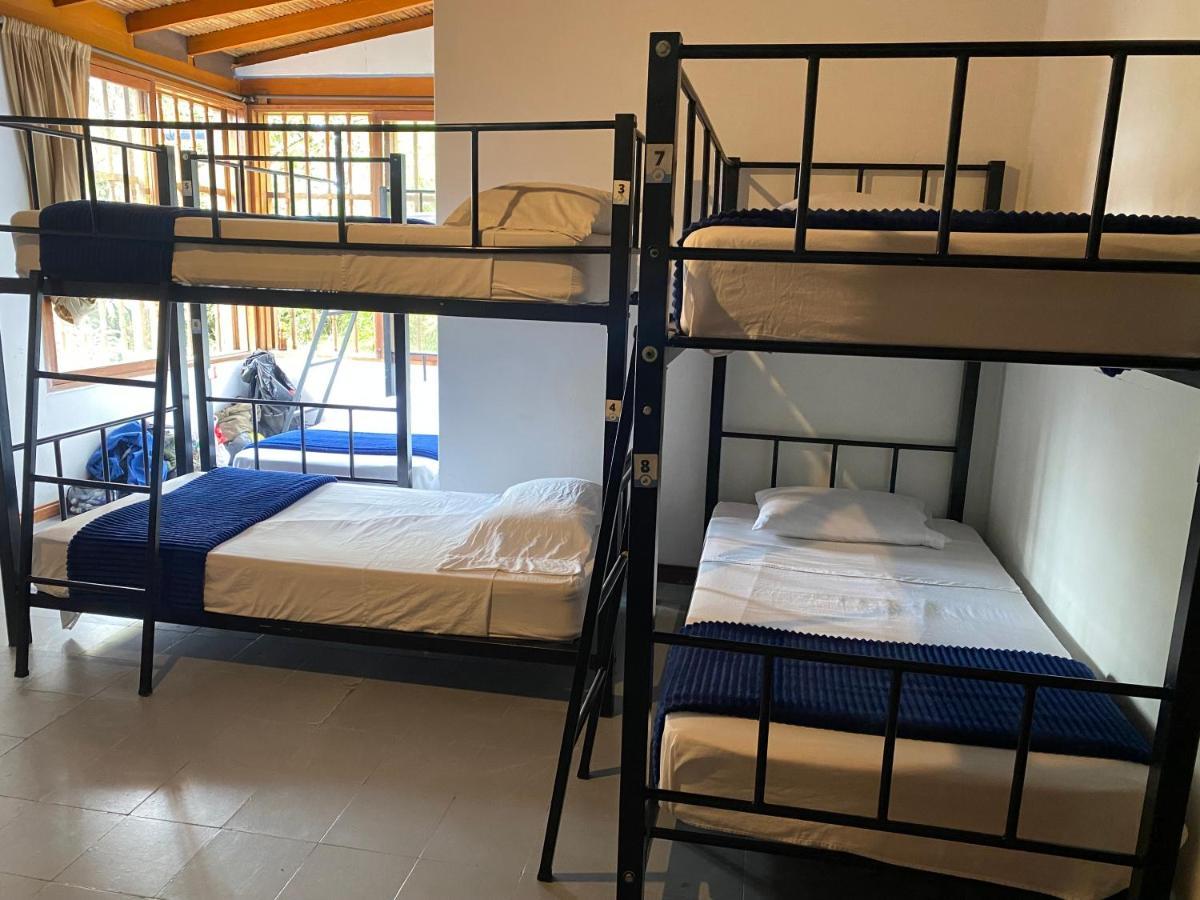 Yolo Hostel Medellín Extérieur photo