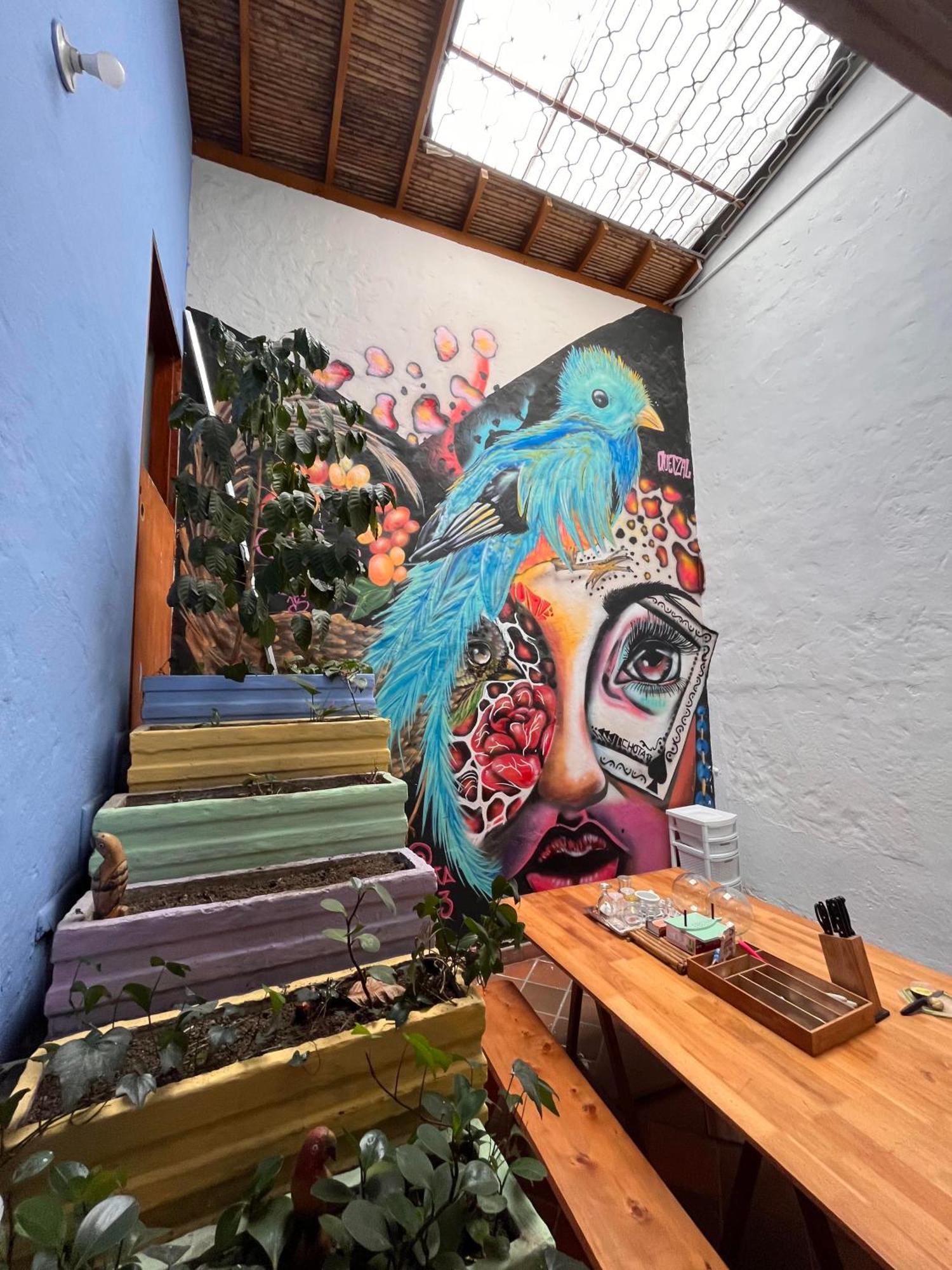 Yolo Hostel Medellín Extérieur photo