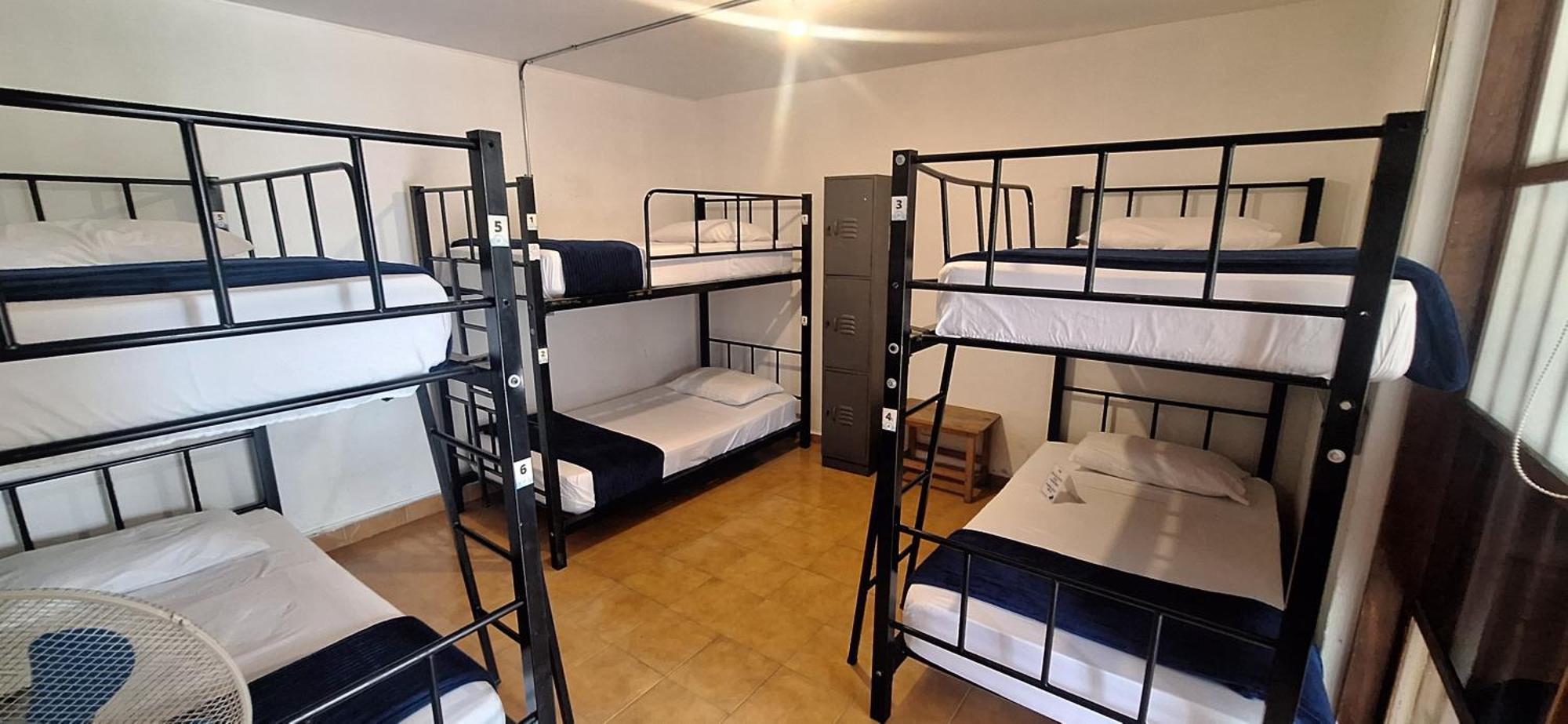 Yolo Hostel Medellín Extérieur photo