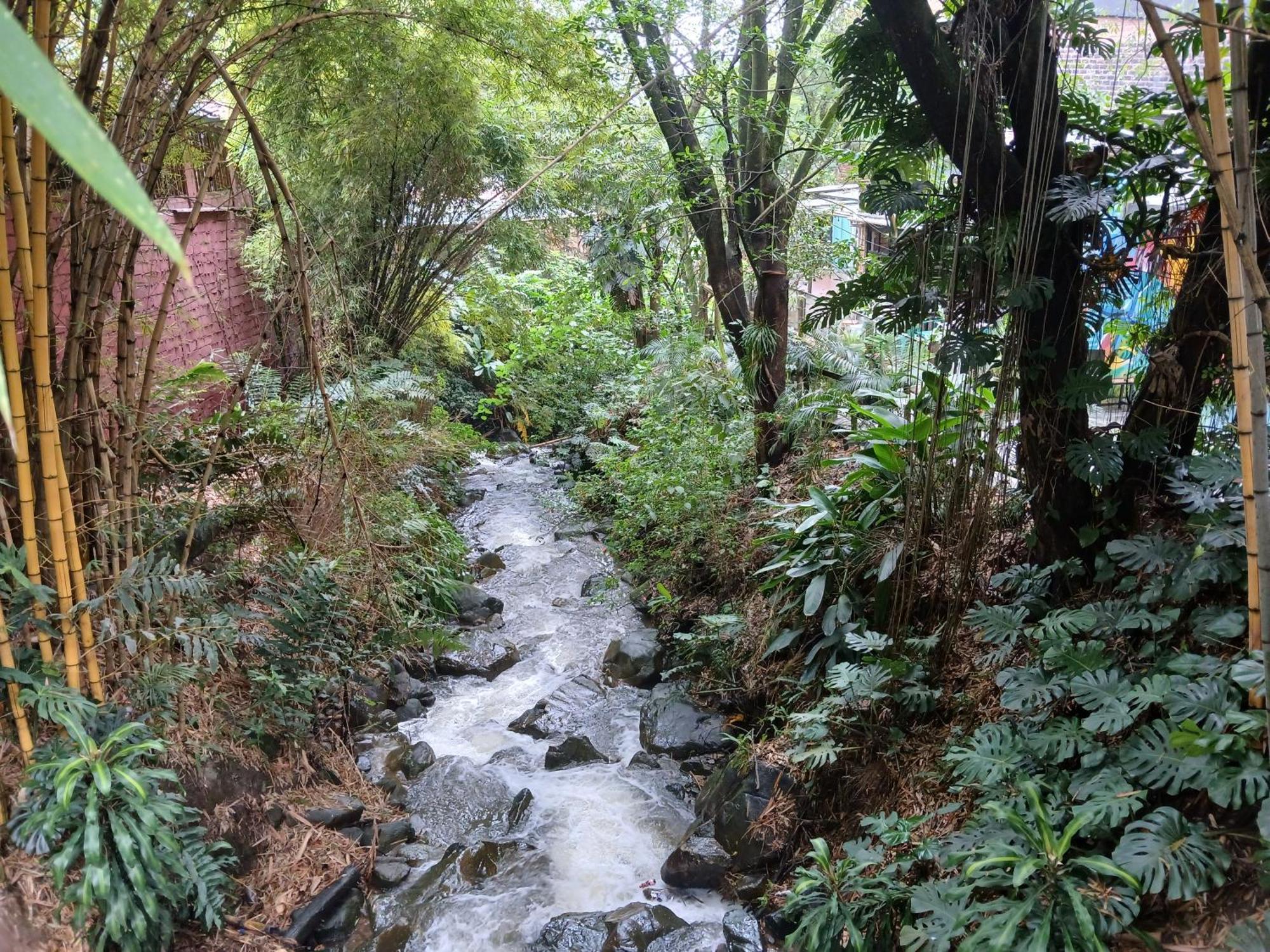 Yolo Hostel Medellín Extérieur photo