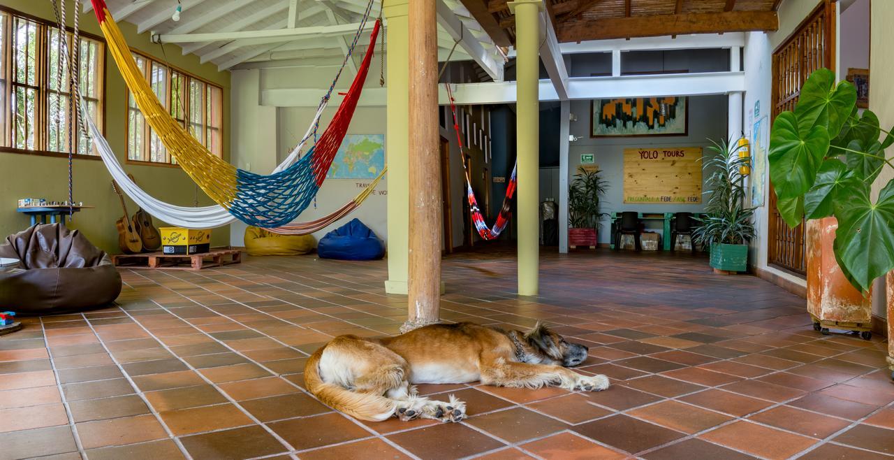 Yolo Hostel Medellín Extérieur photo